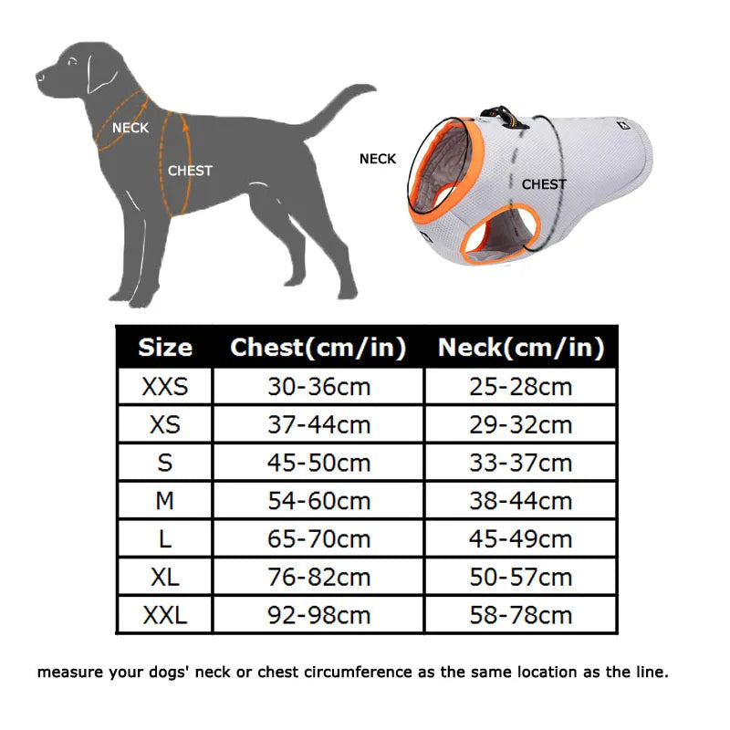 Summer Dog Cooling Vest – Keep Your Pup Cool, Calm, and Collected!