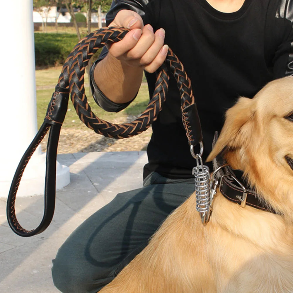 Heavy Duty Leather Dog Leash with Shock Absorption