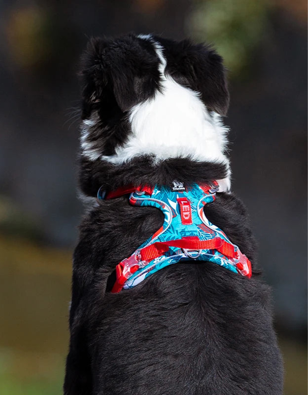 Pet Harness Camouflage With Reflective Nylon Special Edition