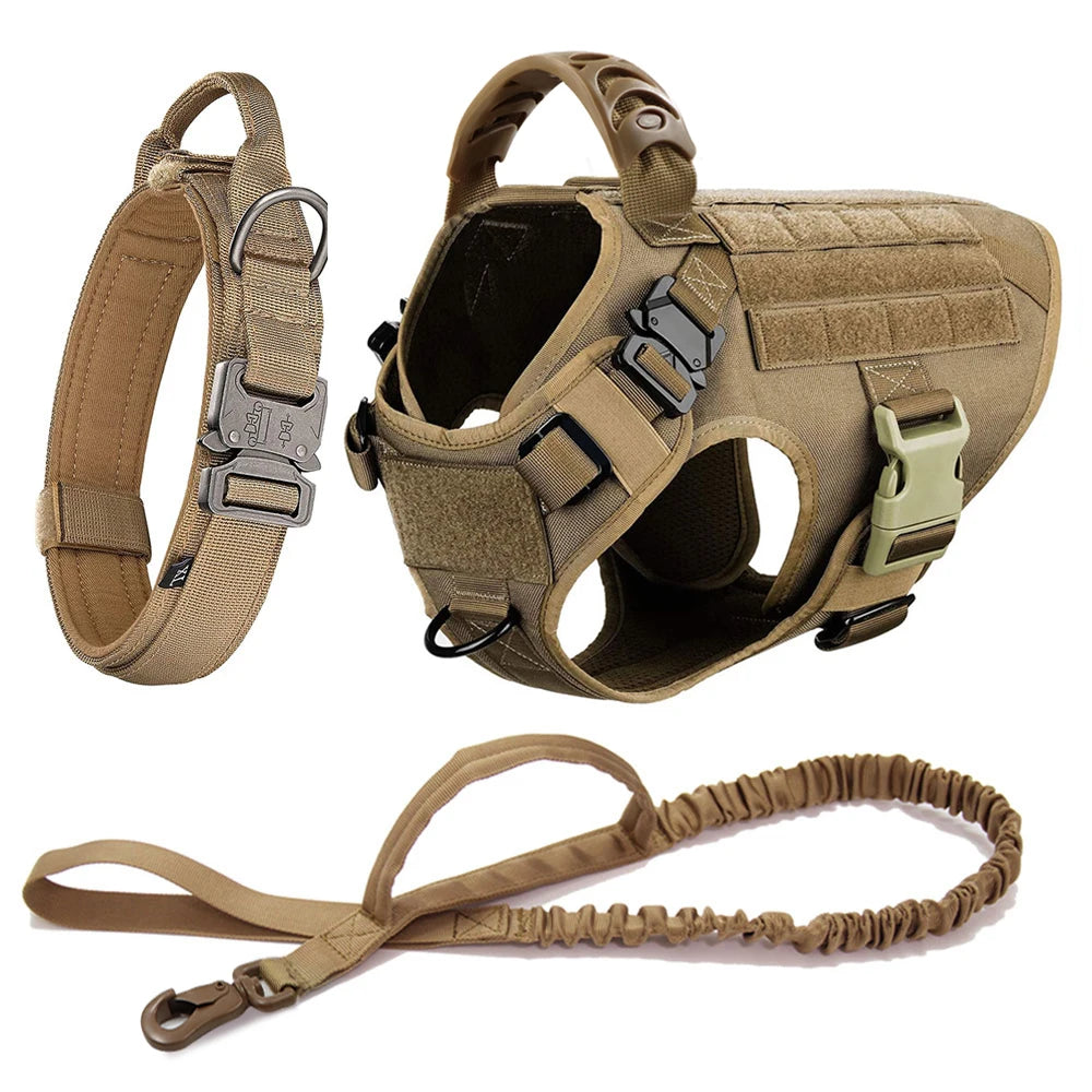 All In One Dog Starter Set