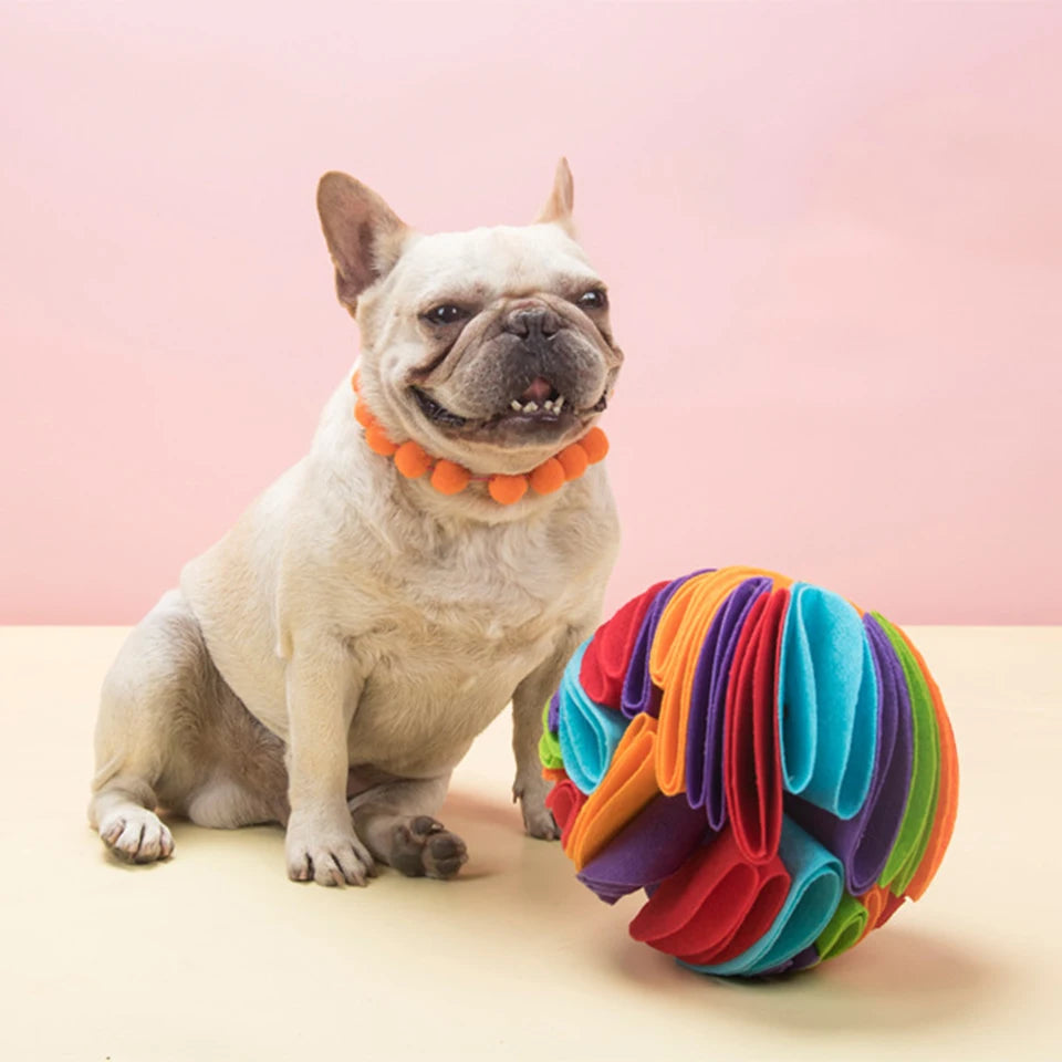 Snuffle Ball Interactive Toy