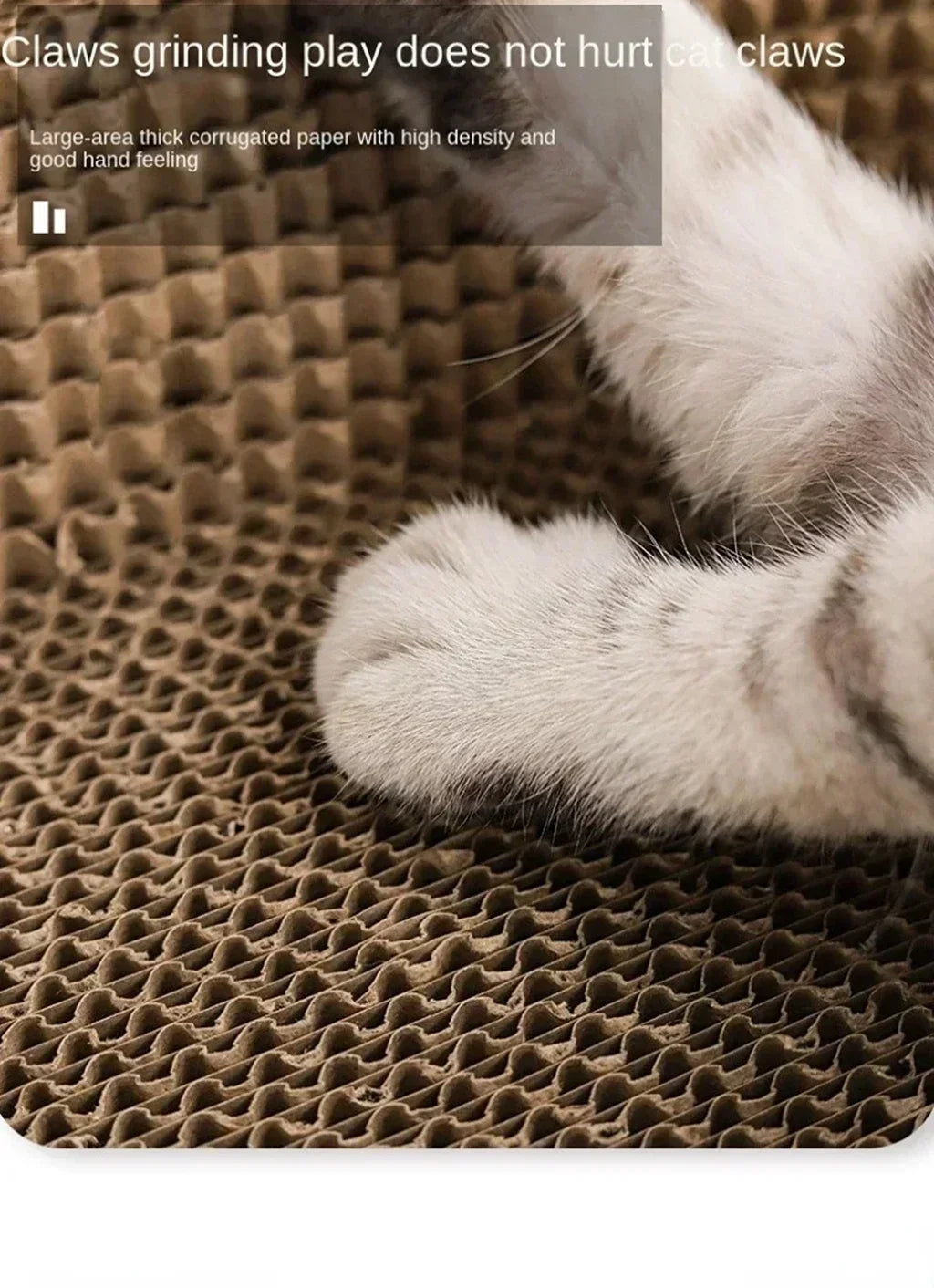 Corrugated Cat Scratcher Lounge