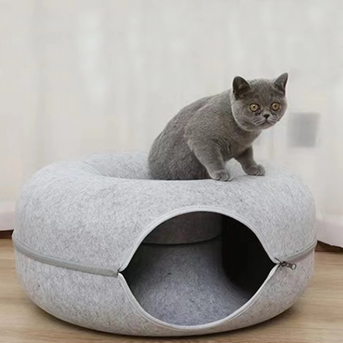 The Ultimate Donut Cat Bed