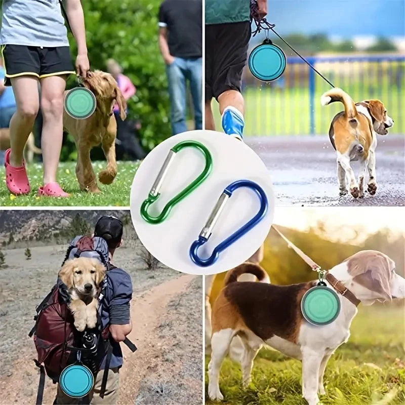 Travel Bowls – The Ultimate Dining Experience for Your Pooch on the Go!