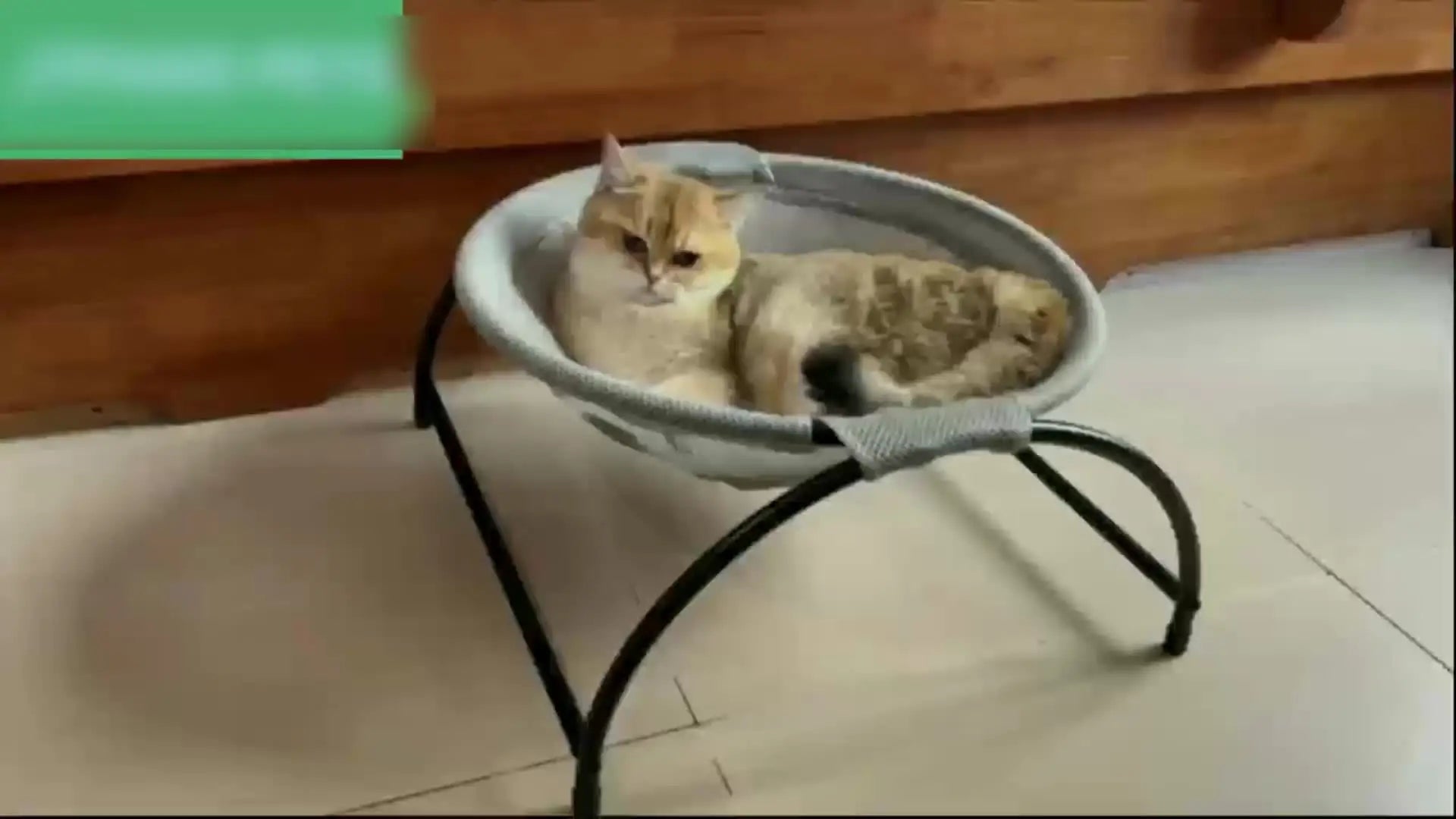Cat Hammock Bed