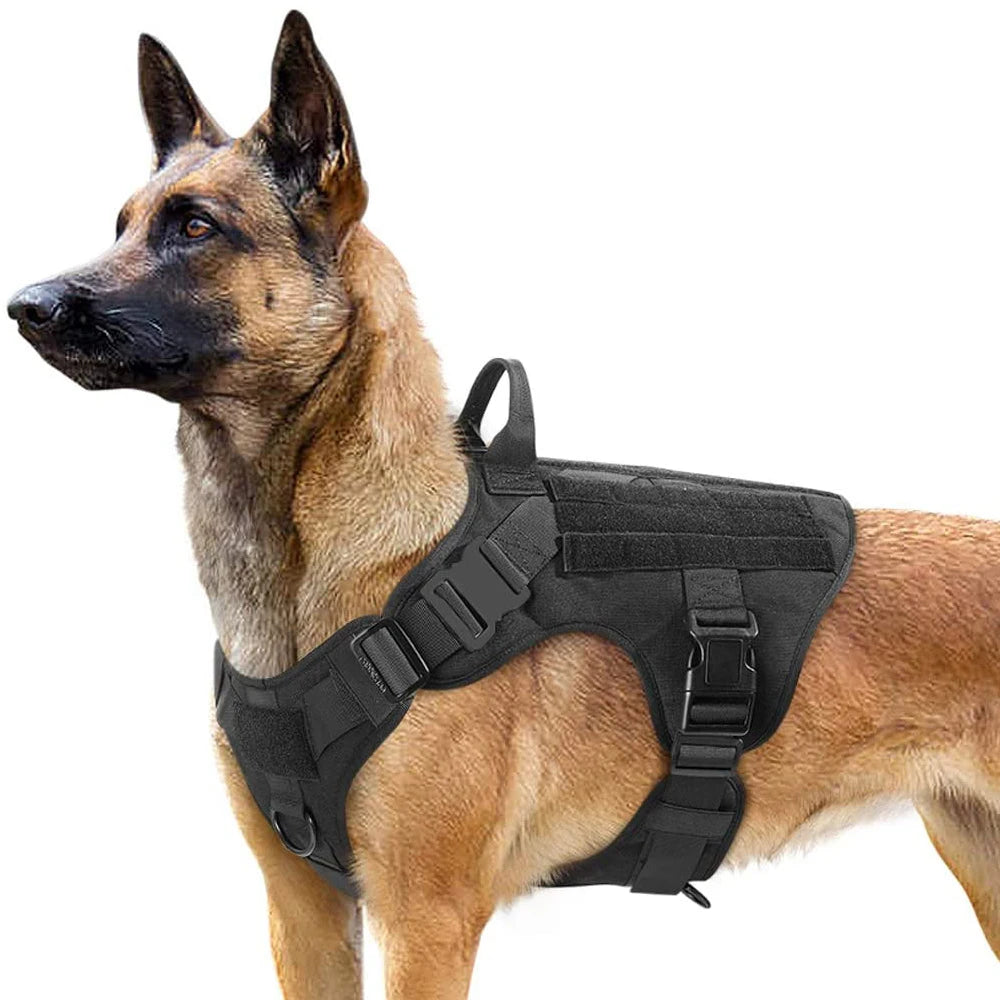 All In One Dog Starter Set