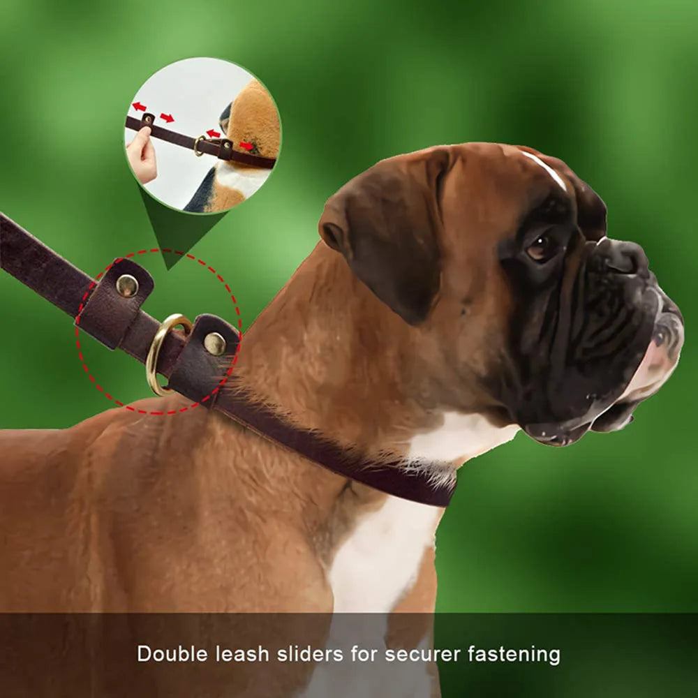 Classic Leather Dog Leash