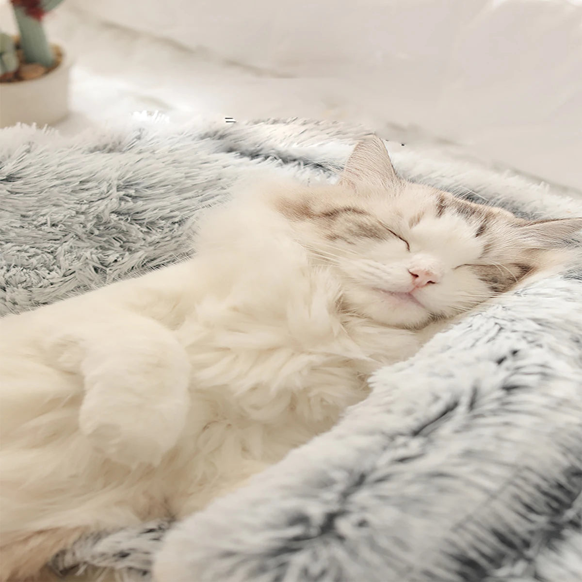 Cozy Fiber Cat Bed