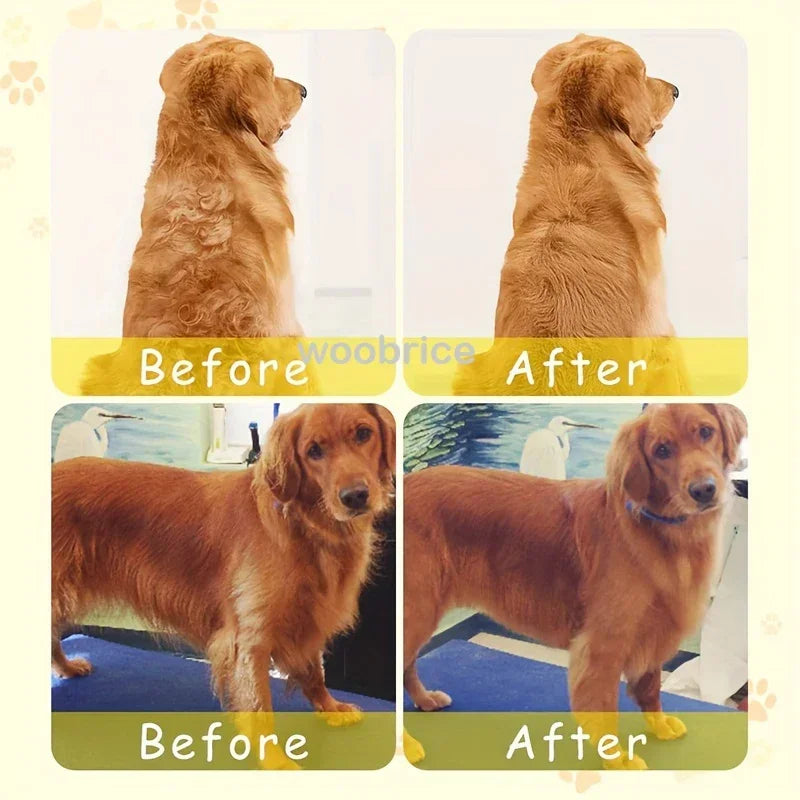 3-in-1 Dog Hair Cat Hair Brush Electric Pet Cleaning Brush Steam Spray Brush Massage Hair Removal Comb Anti Flying Brushes