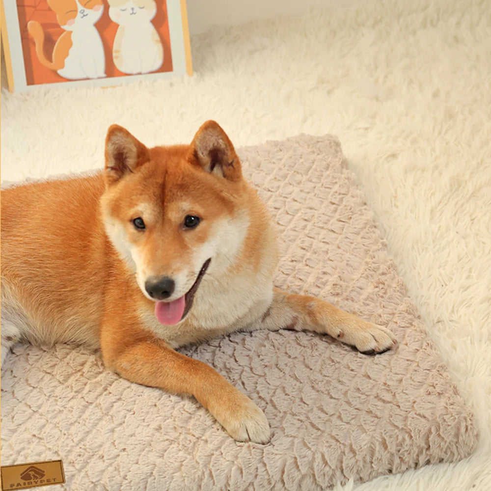 Premium Dog Bed with Removable Washable Cover
