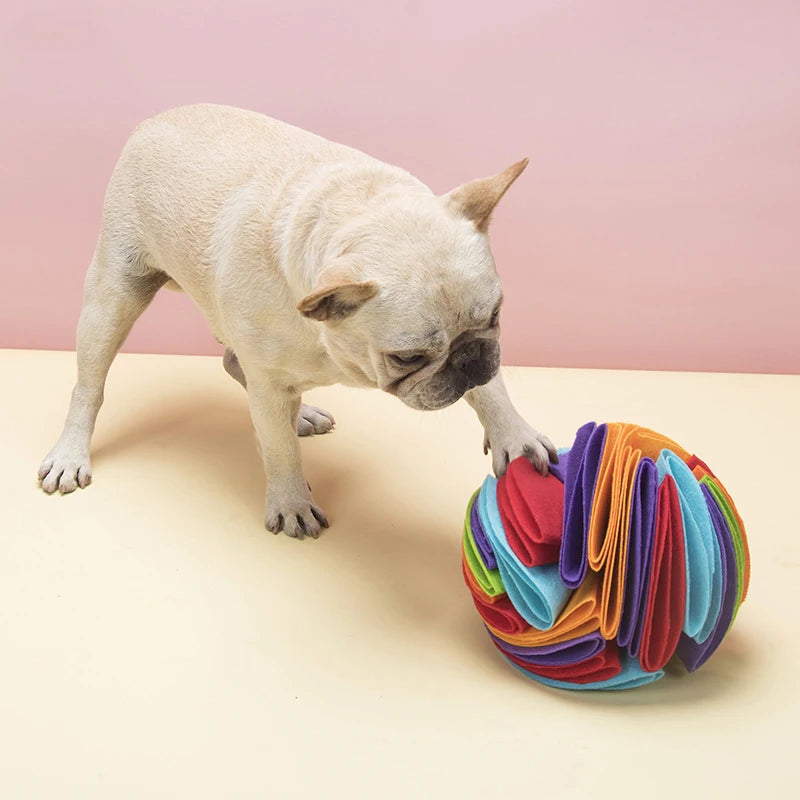 Snuffle Ball Interactive Toy