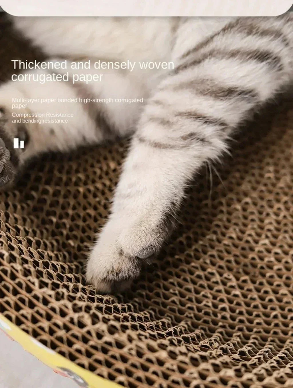 Corrugated Cat Scratcher Lounge