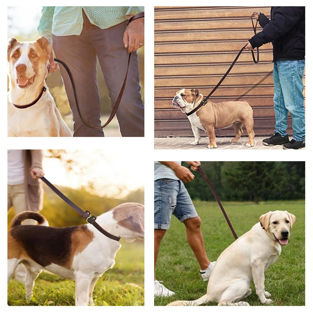 Classic Leather Dog Leash