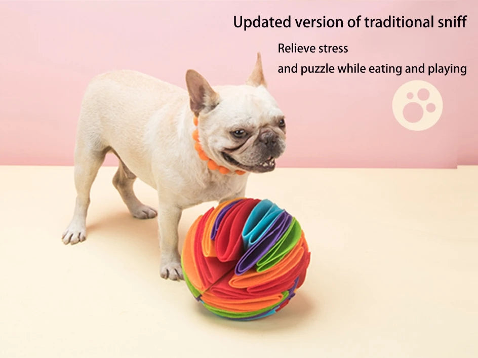 Snuffle Ball Interactive Toy