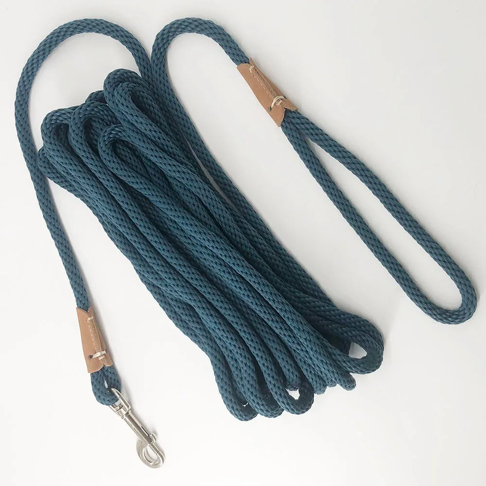 Dog Training Leash