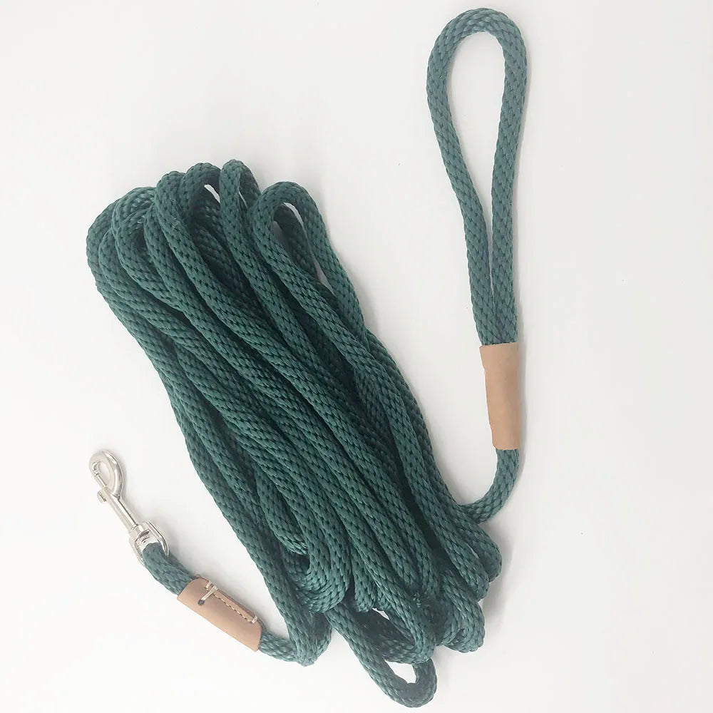 Dog Training Leash
