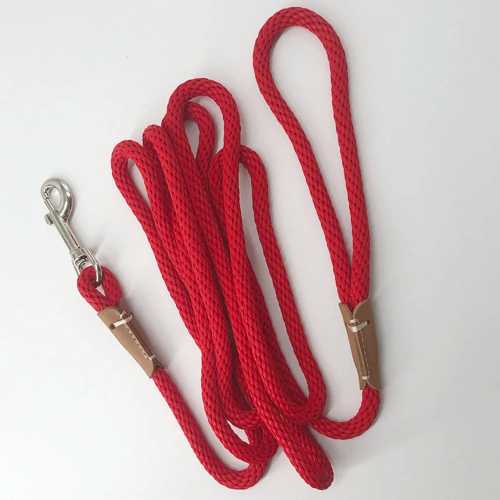 Dog Training Leash