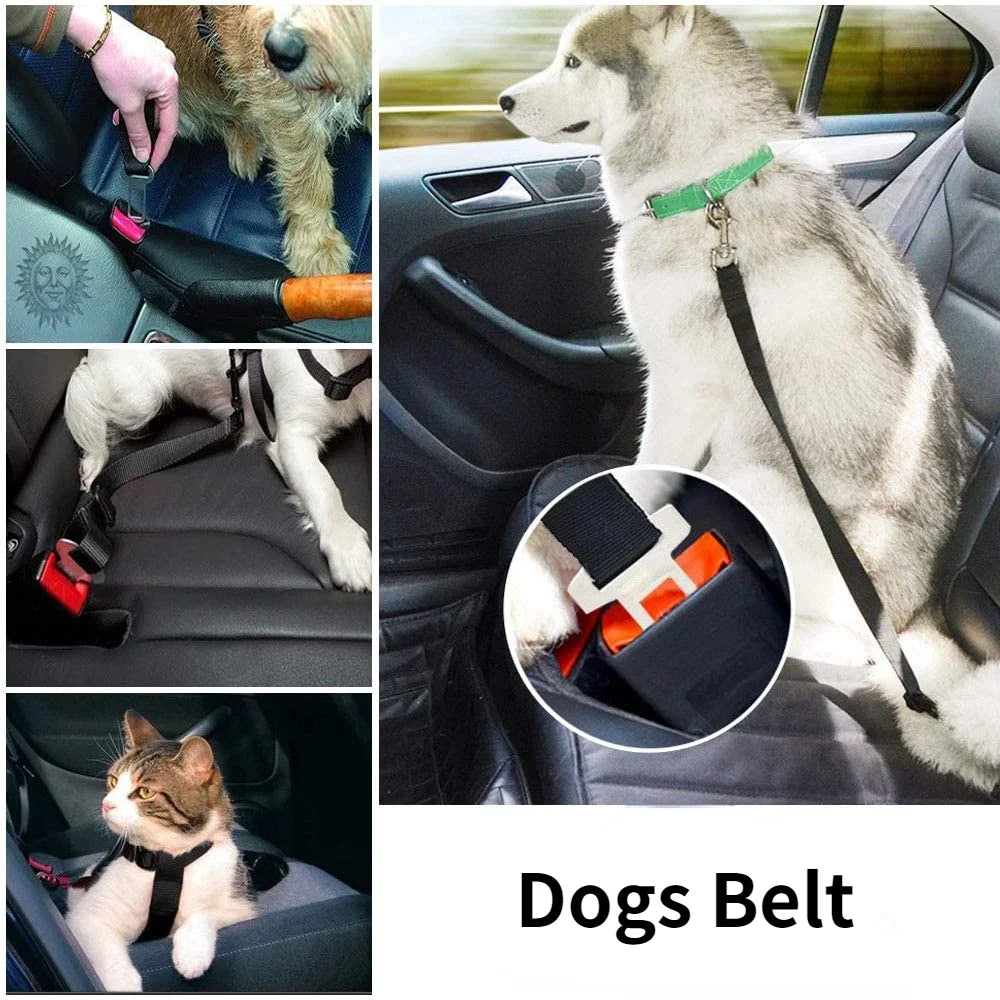 Adjustable Dog Car Seat Belt