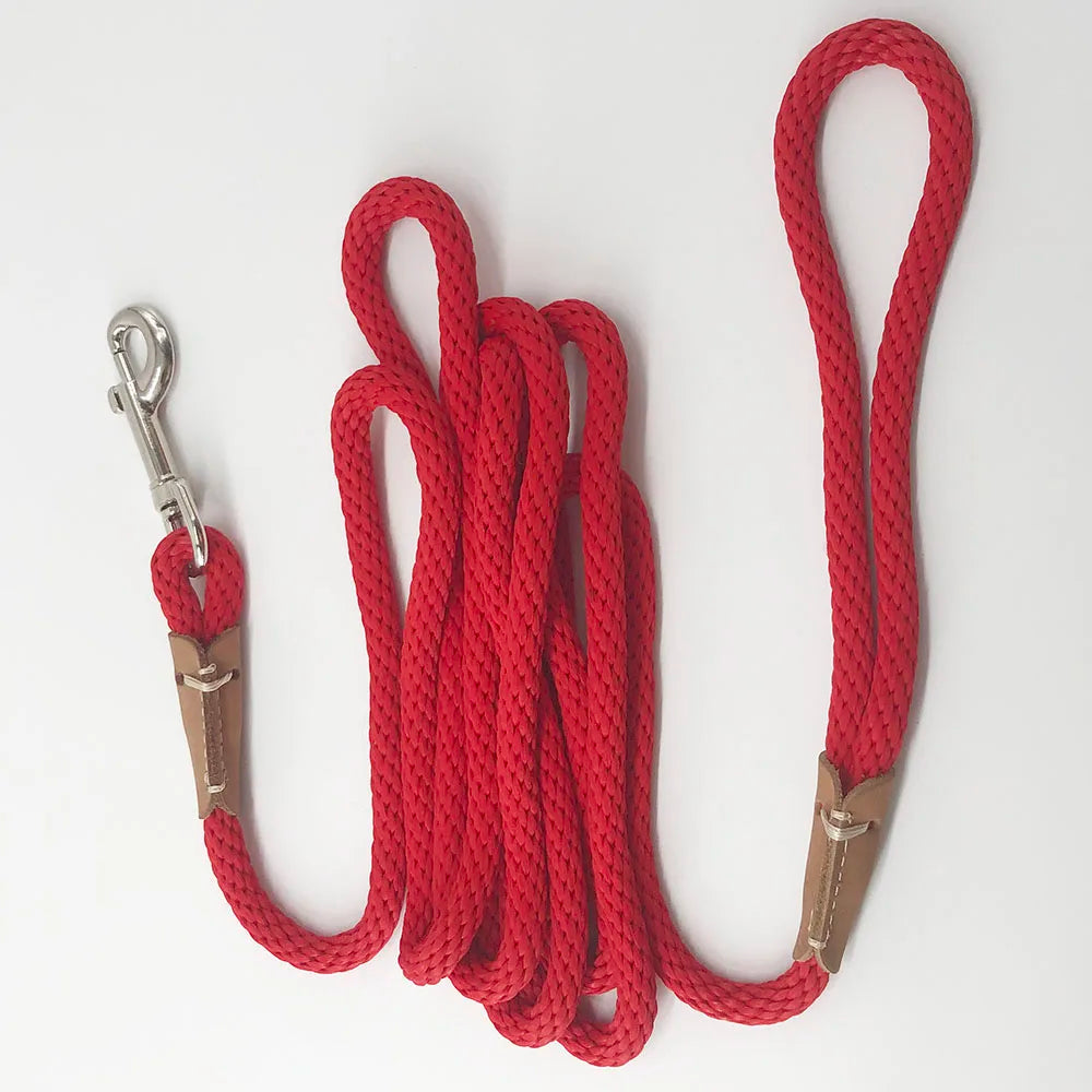 Dog Training Leash