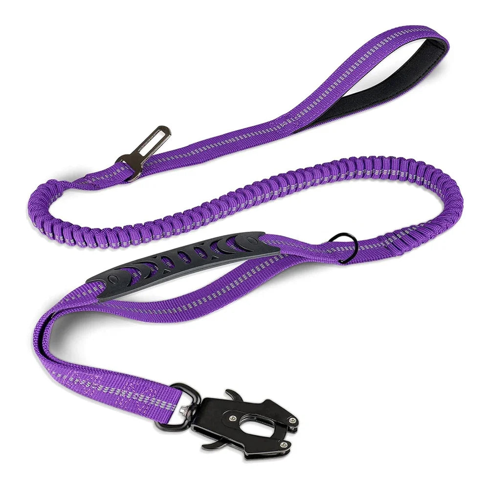 Shock Absorbing Pet Leash with Car Seatbelt