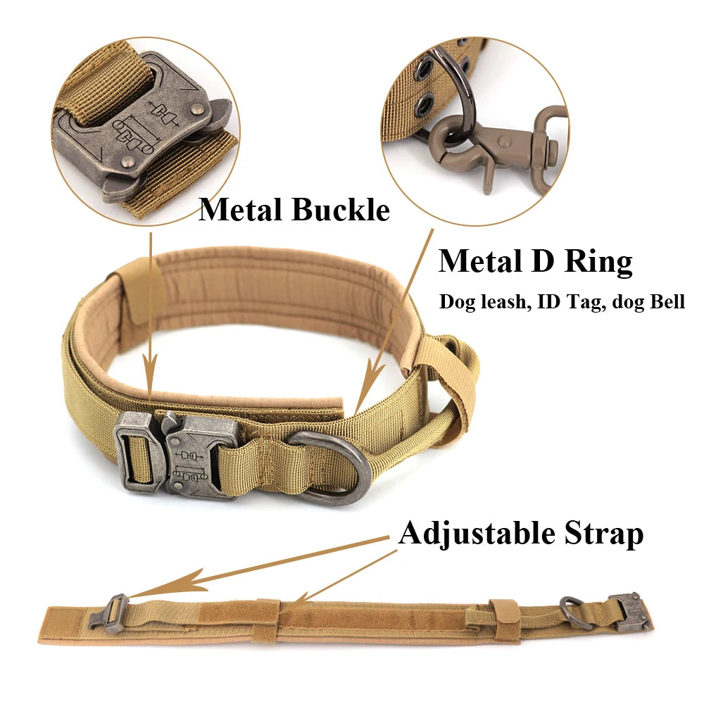 All In One Dog Starter Set