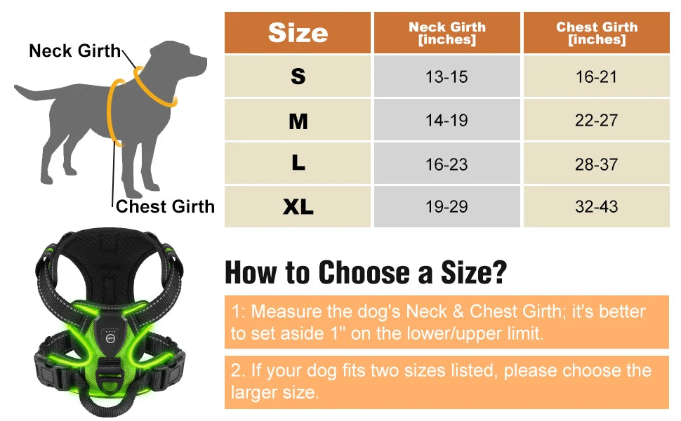 Light-Up Dog Harness