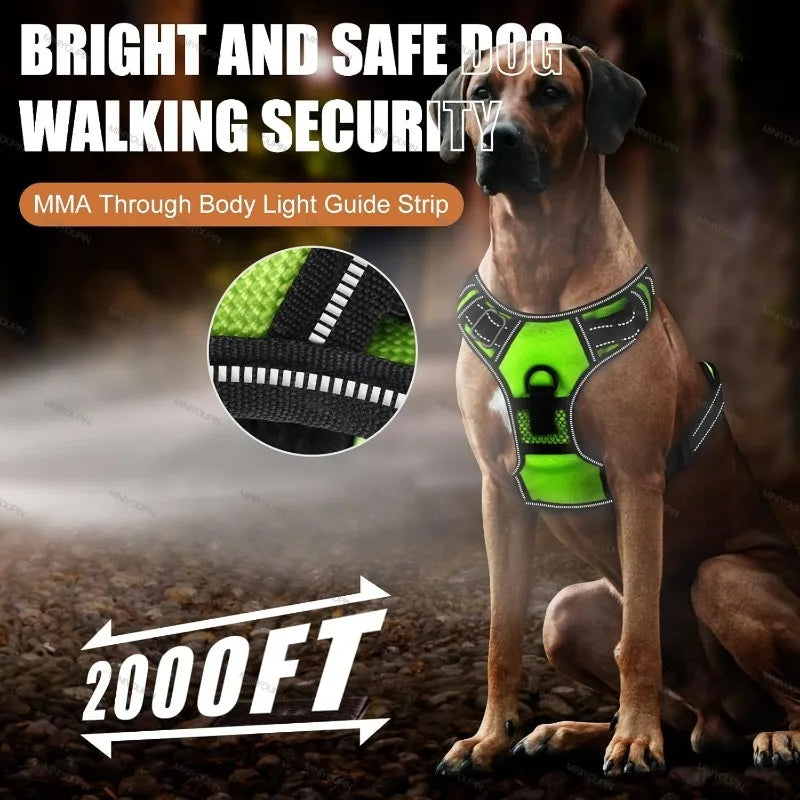 Light-Up Dog Harness