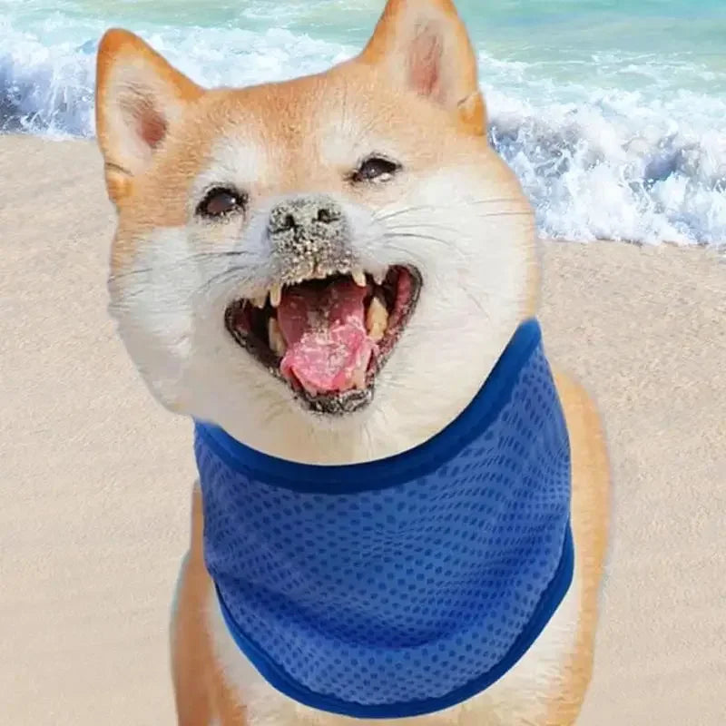 Dog Cooling Scarf
