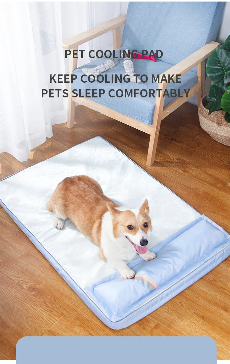 Orthopedic Bolstered Dog Bed
