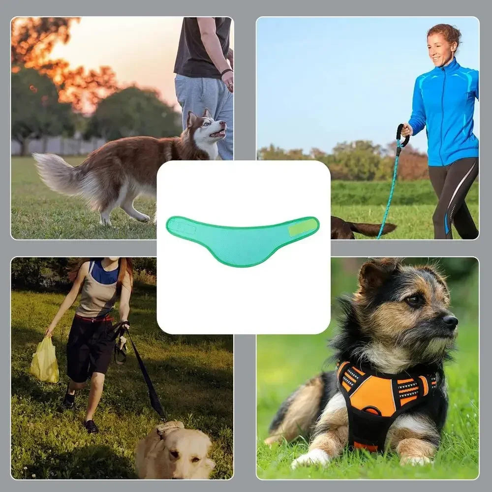 Dog Cooling Scarf