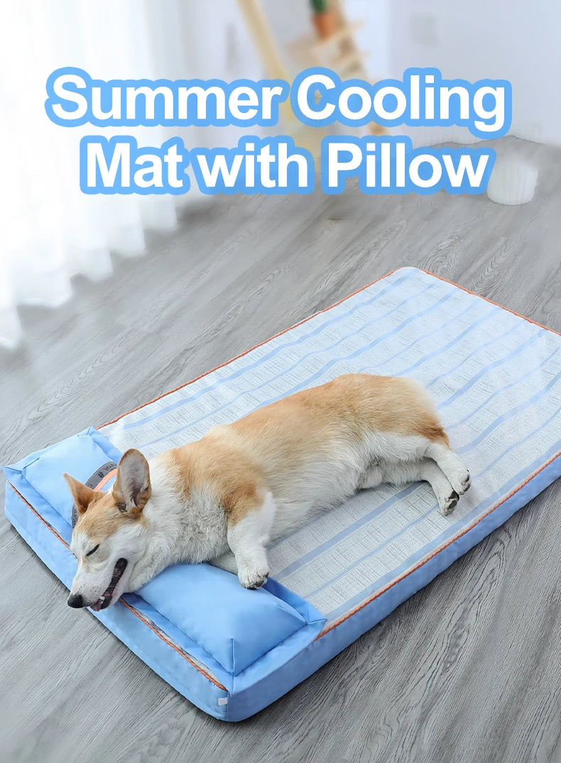 Orthopedic Bolstered Dog Bed