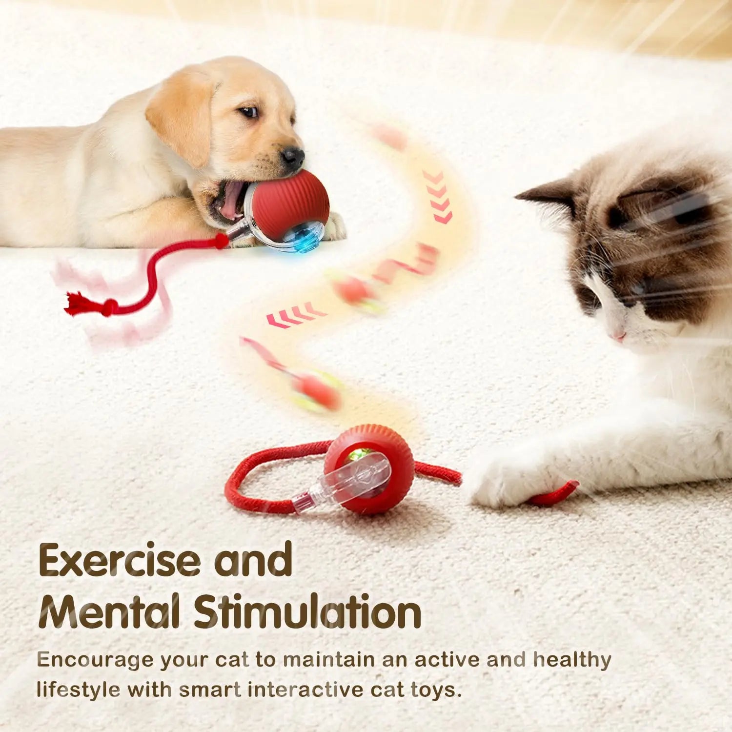 Smart Interactive Cat Or Dog Toy Ball – The Ultimate Purr-fect Playmate! 😺🎾