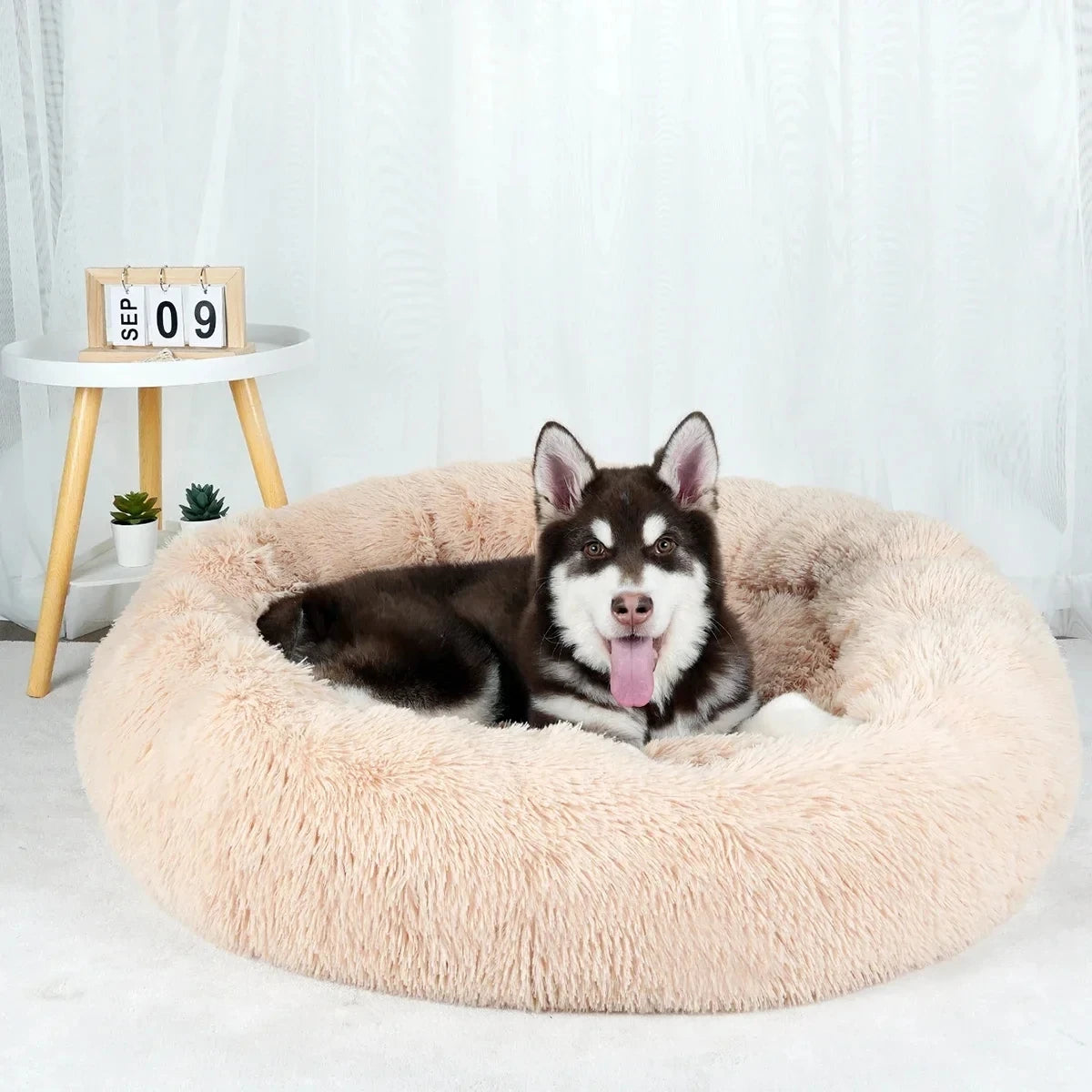 Donut Round Basket Plush Bed for Pets