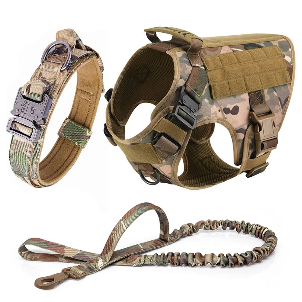 All In One Dog Starter Set