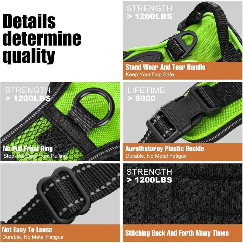 Light-Up Dog Harness