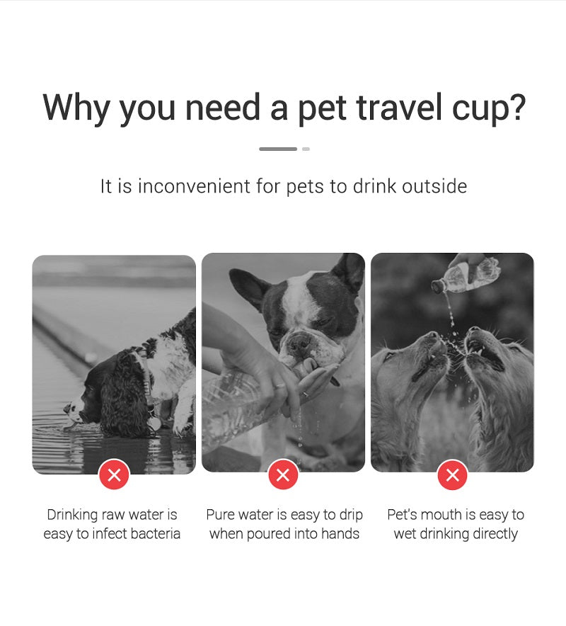 Portable Dog Water Bottle – Hydration on the Go!