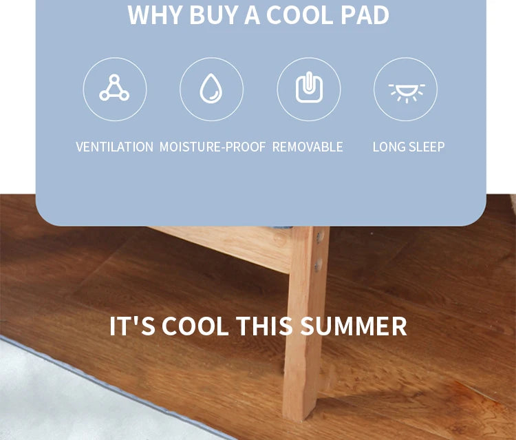 Orthopedic Bolstered Dog Bed