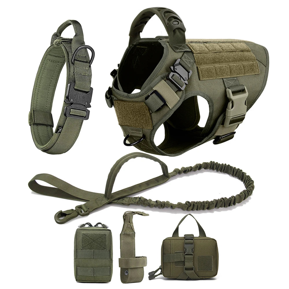 All In One Dog Starter Set