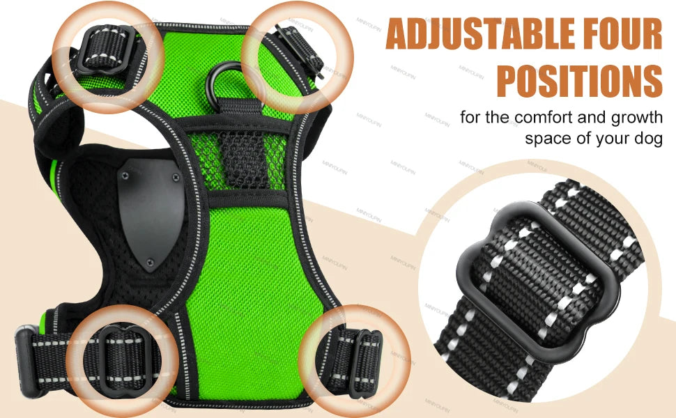 Light-Up Dog Harness