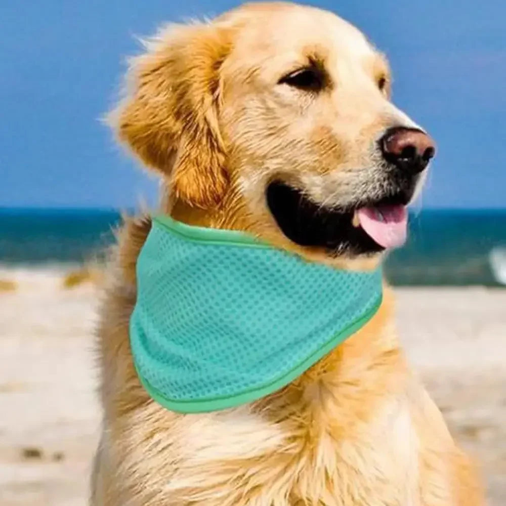 Dog Cooling Scarf