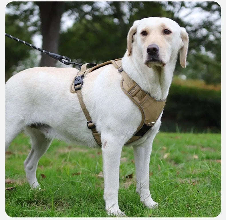 Dog Harness with Airtag Holder