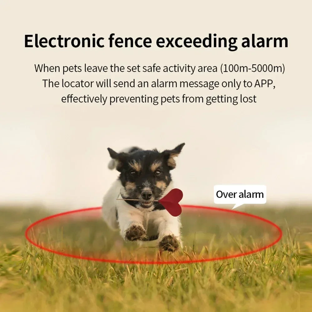 Smart GPS Pet Tracker Collar