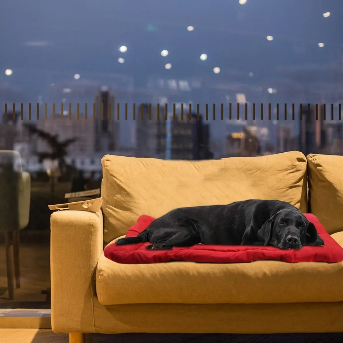 Waterproof Portable Dog Bed