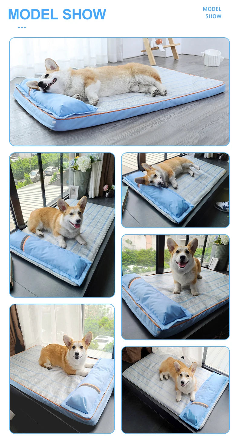 Orthopedic Bolstered Dog Bed