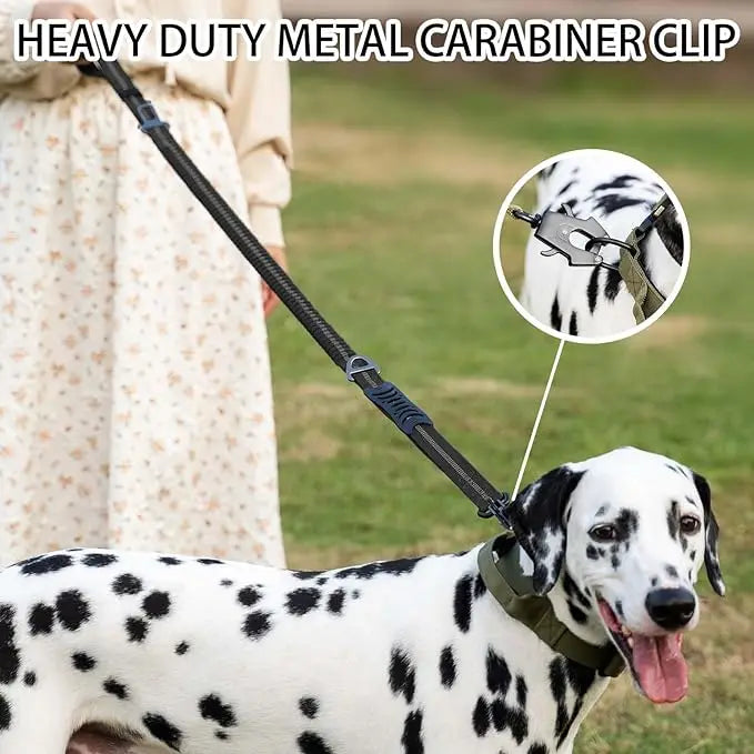 Shock Absorbing Pet Leash with Car Seatbelt