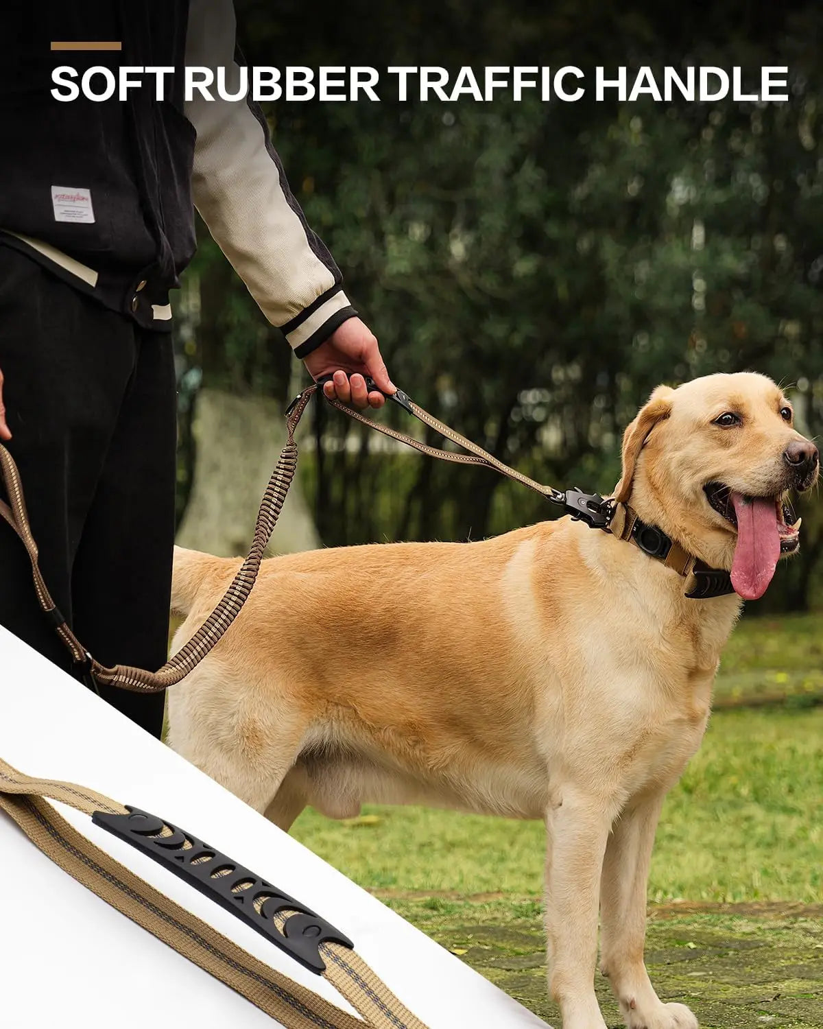 Shock Absorbing Pet Leash with Car Seatbelt