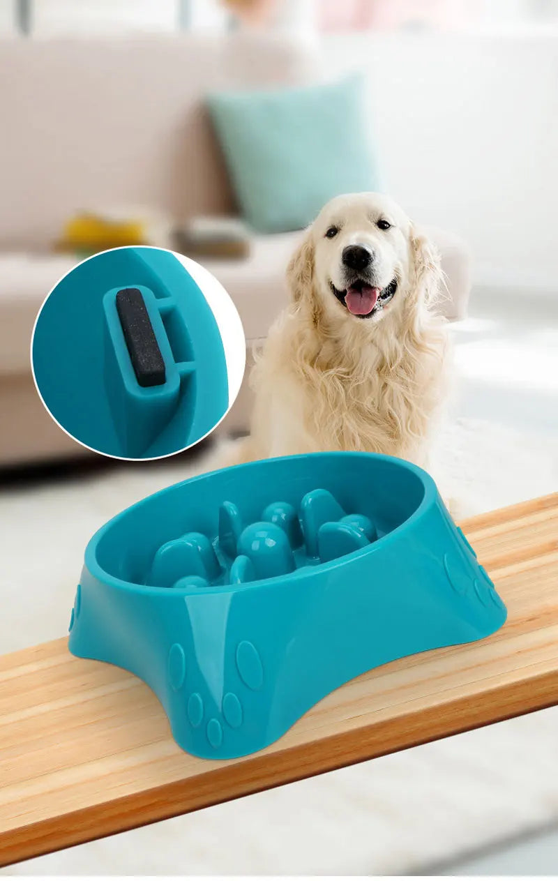 Starfish Slow Feeder Dog Bowl