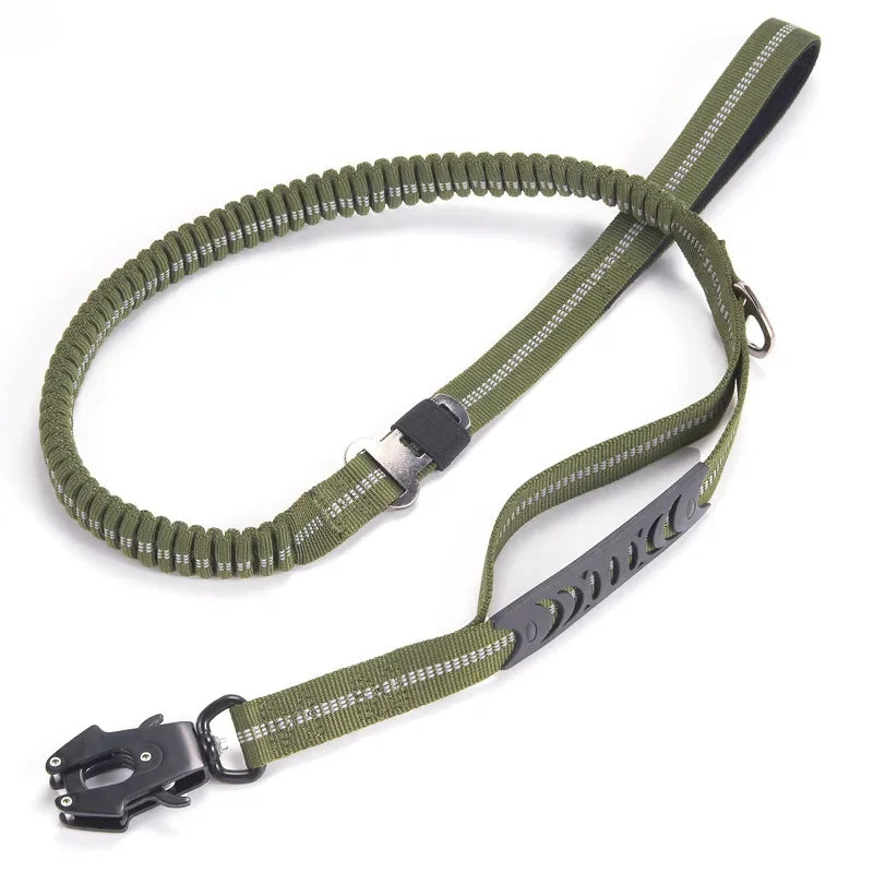 Shock Absorbing Pet Leash with Car Seatbelt