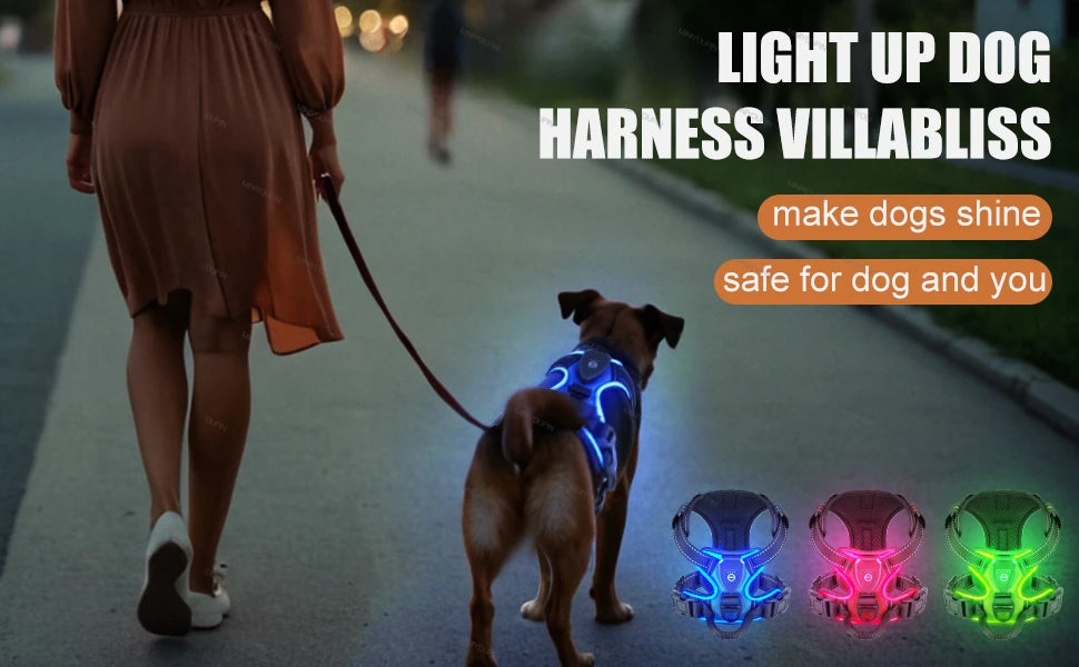Light-Up Dog Harness