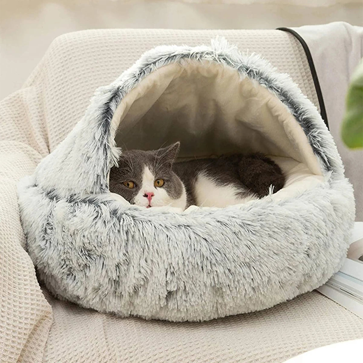 Cozy Fiber Cat Bed